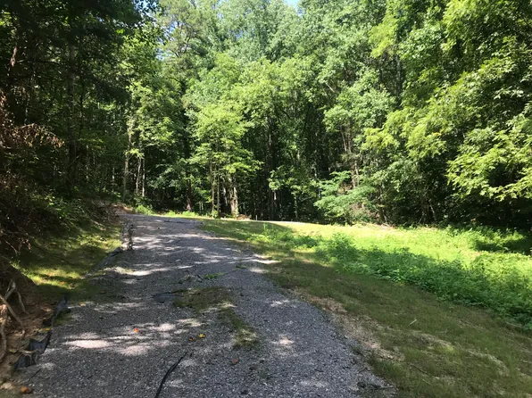 1124 Iris Way, Cosby, TN 37722