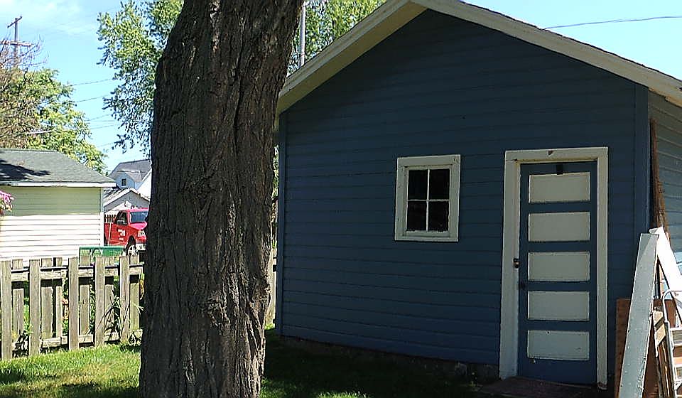 panoramic view of back yard