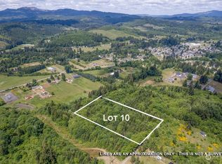 10 Hill St, Pe Ell, WA 98572