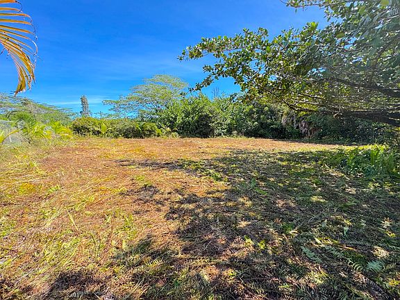 5th image of 3rd Ave Lot 1432