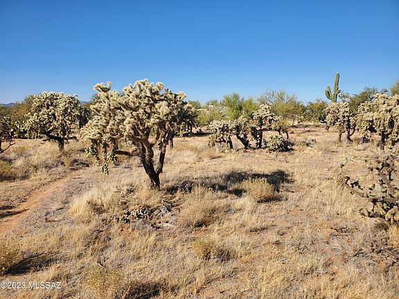 5th image of 15721 W Cattle Trl #69