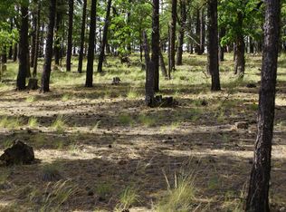 4755 S Snaffle Bit, Flagstaff, AZ 86005