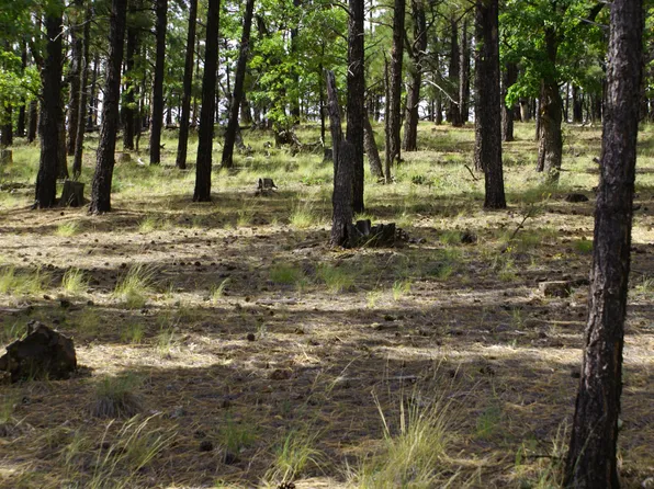 4755 S Snaffle Bit, Flagstaff, AZ 86005