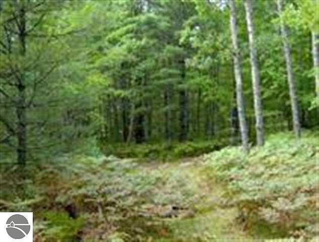 1st image of 0 Lazy Forest Trl