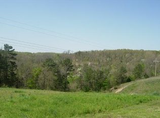 40 Acres Reti Rd, Pineville, MO 64856