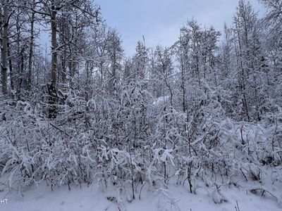 48609 S Tussle Cir, Talkeetna, AK, 99676