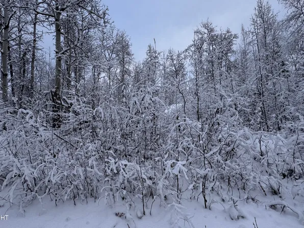 48609 S Tussle Cir, Talkeetna, AK 99676