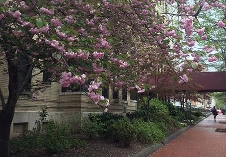 outside on 25th St