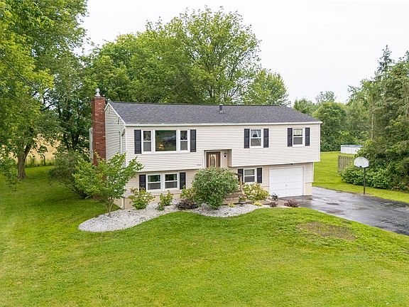 4th image of 1964 Paddy Ln
