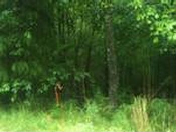 Photo of Mobile Home Lot