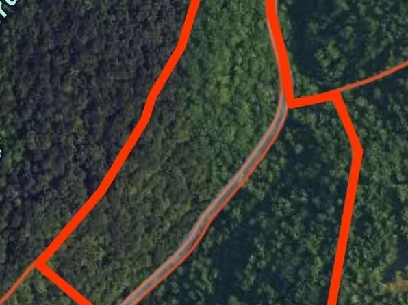 29 Seals Hollow Rd, Woodbury, TN 37190