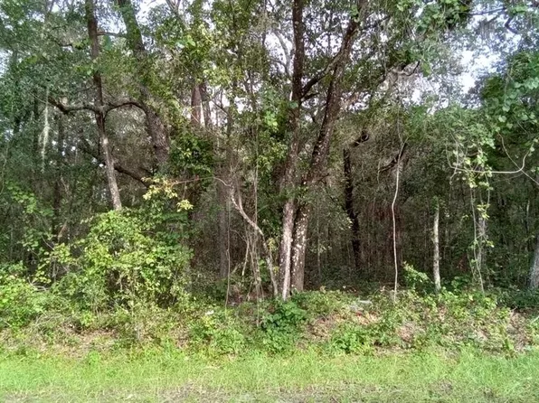 0 Locust Loop #5, Ocala, FL 34472