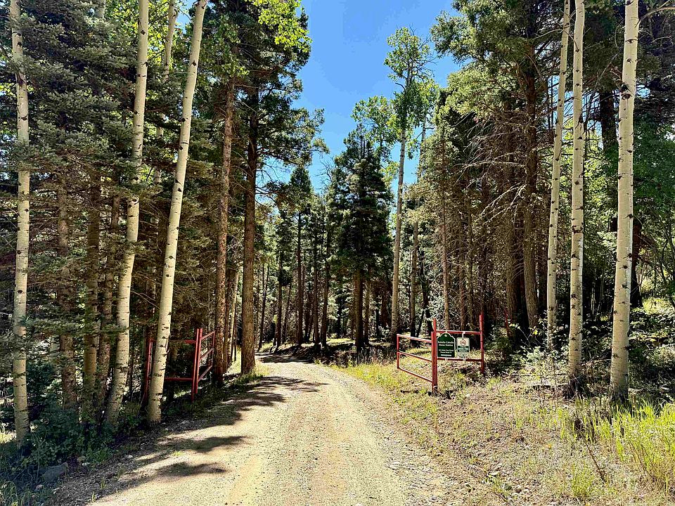 1st image of 131 Forest Road 76