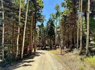 131 Forest Rd #76, Angel Fire, NM 87710