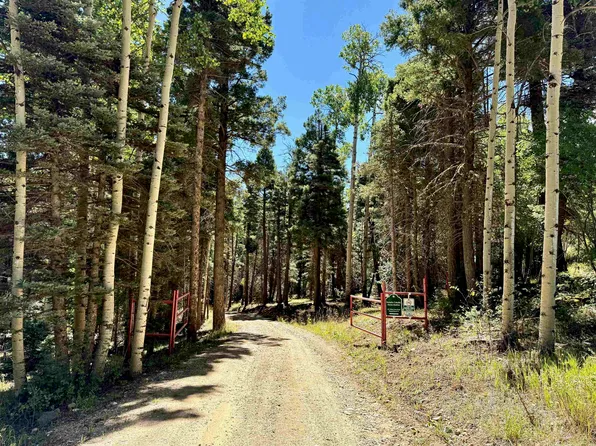 131 Forest Road 76, Angel Fire, NM 87710