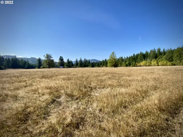 NE Muncton Dr, Yacolt, WA 98675