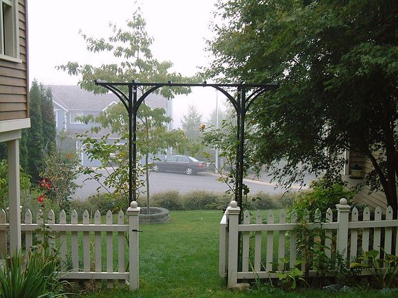 From the back to the Front Yard