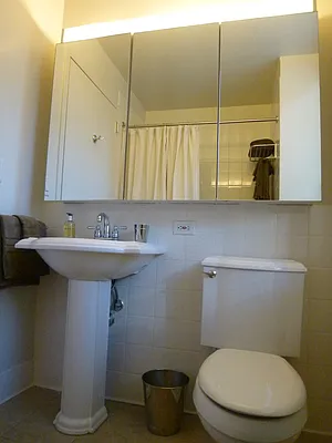 Rented by Carnegie Hill Place | media 29