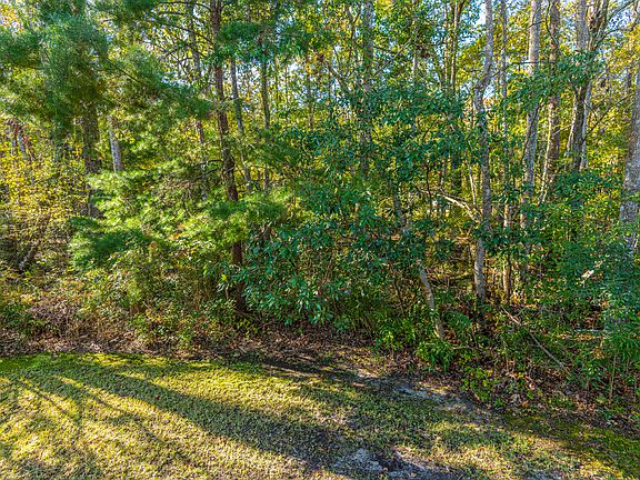 5th image of 8613 Woodland Walk
