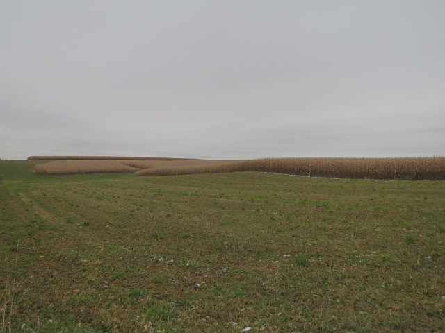 2nd image of Atkinson Rd