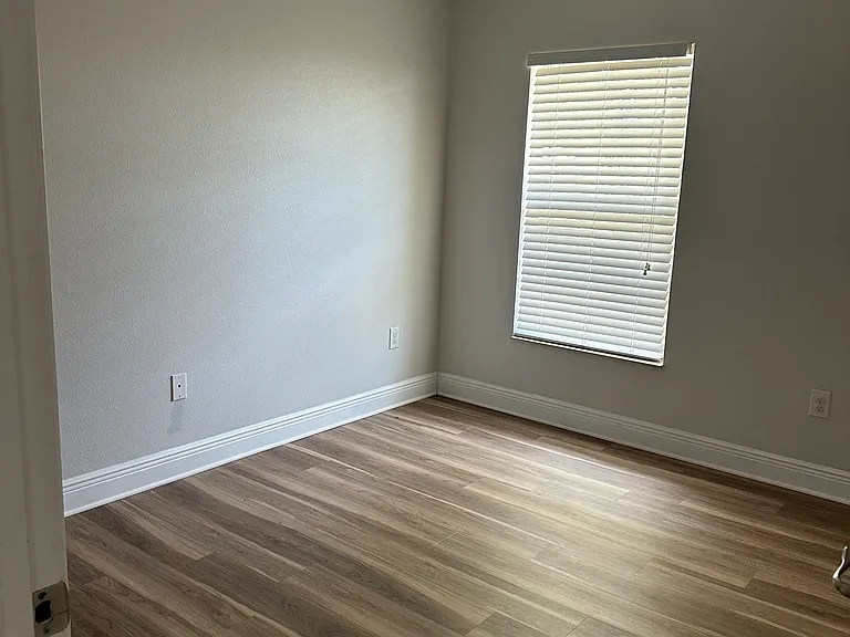 6501 Manila Palm Way — Photo 8