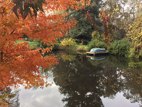 Autumn by the pond