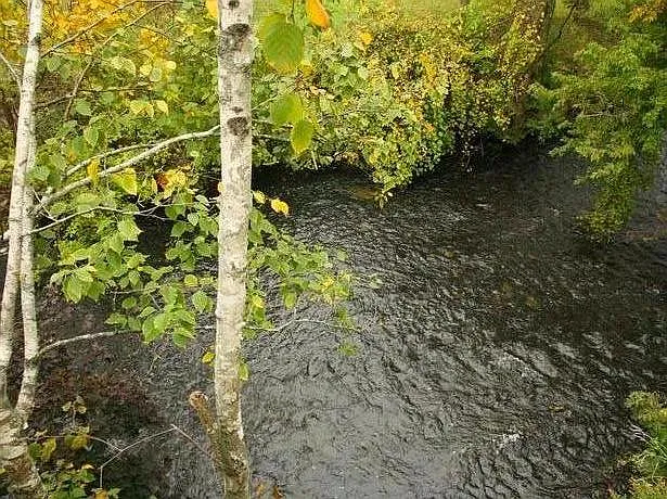 Williams River from deck in fall.