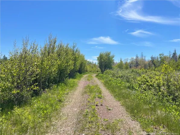 5 Ptit Barachois Rd Lot 95, Beaubassin East, NB E4P 7Y2