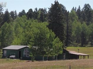 244 Will Scarlet Dr, Divide, CO 80814