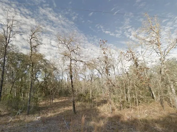 0 NE 112th Ter, Bronson, FL 32621
