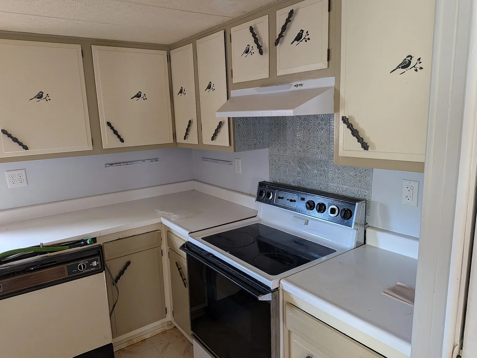 2 bed, 980 sqft, $1,100 — Photo 2