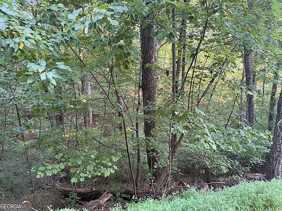 4th image of 2333 Ford White Rd