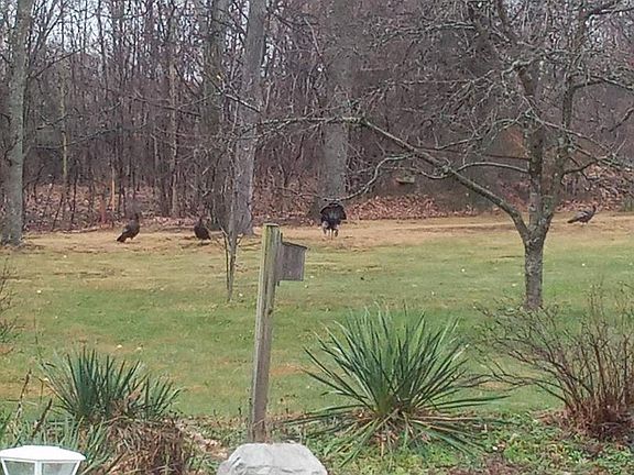 4th image of 475 Green Springs Rd