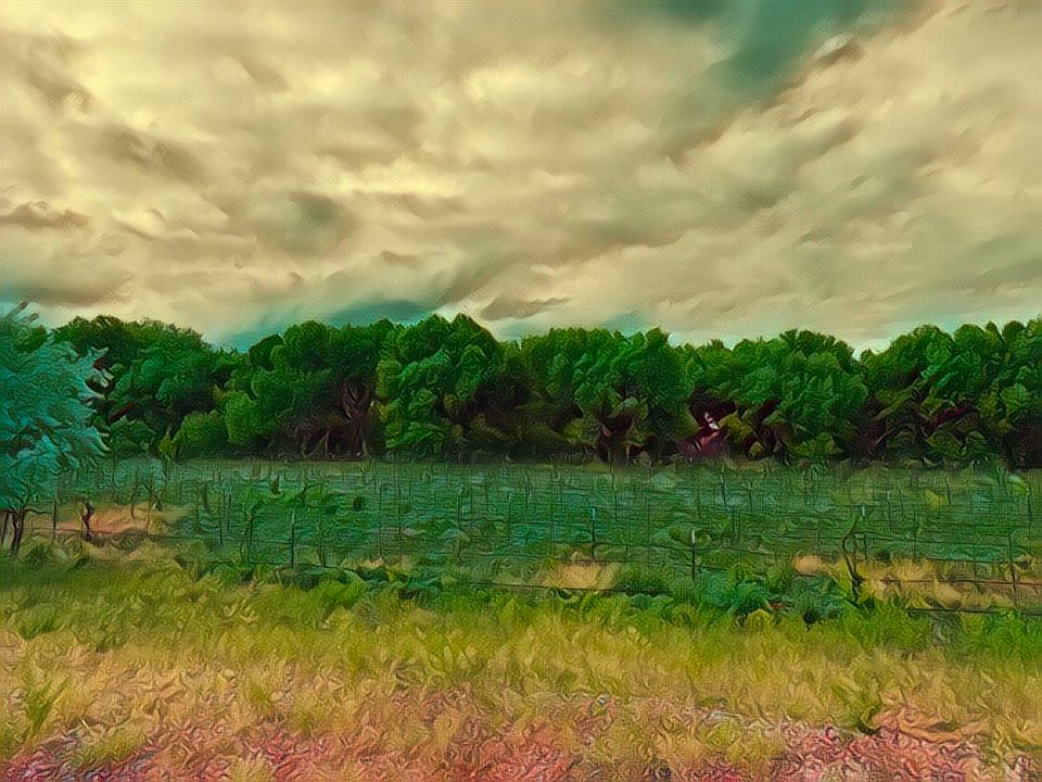 1st image of 442 Los Pinos Rd