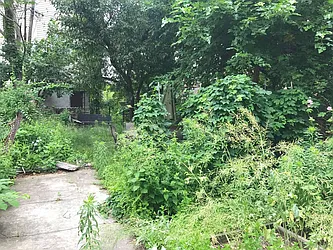 Rented by Capri Jet Realty Corp