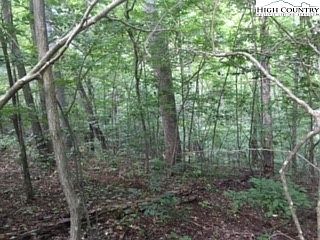 2nd image of Lot 200 Falcon Ridge Drive