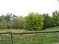 1st image of 506 5th St