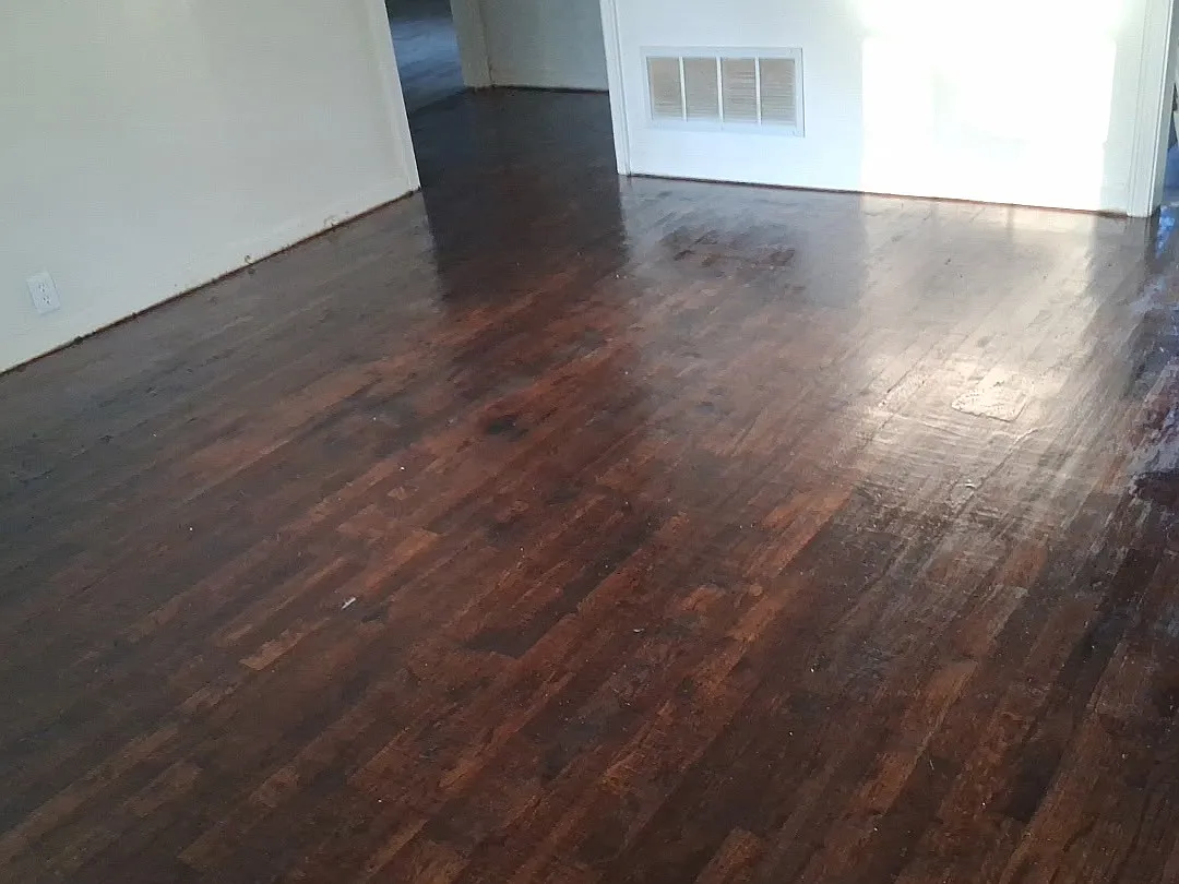 2 bed, 1000 sqft, $1,250 — Photo 3