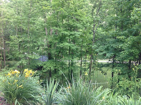Yard View from Terrace
