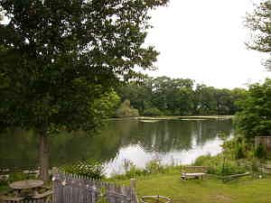View down the pond from yard