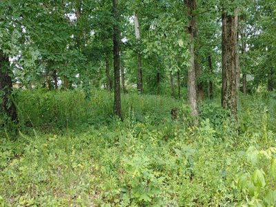 Stephens Cir, Madisonville, TN, 37354