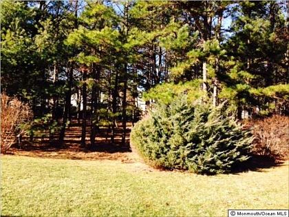 2nd image of 65 Whitaker Dr