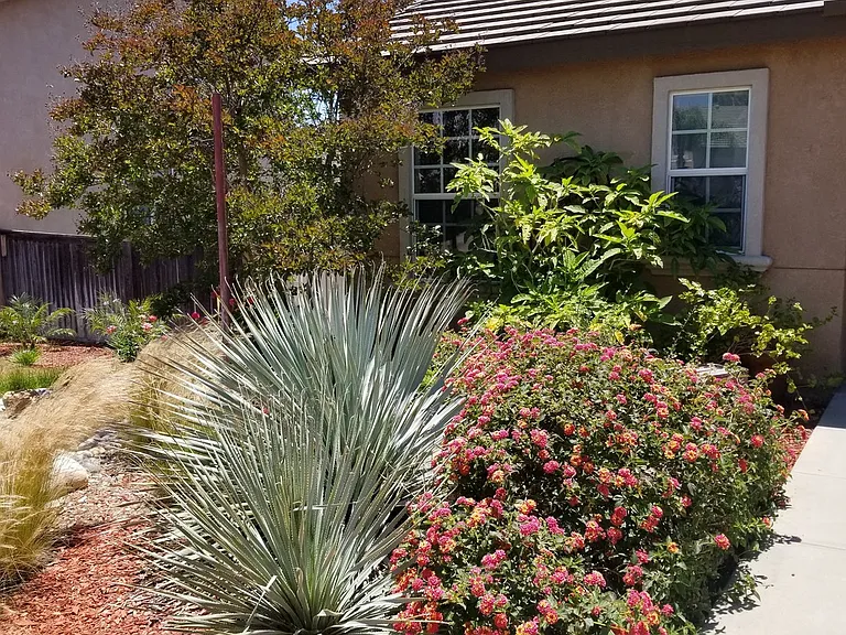 805 Alpine Ct #M — Photo 8
