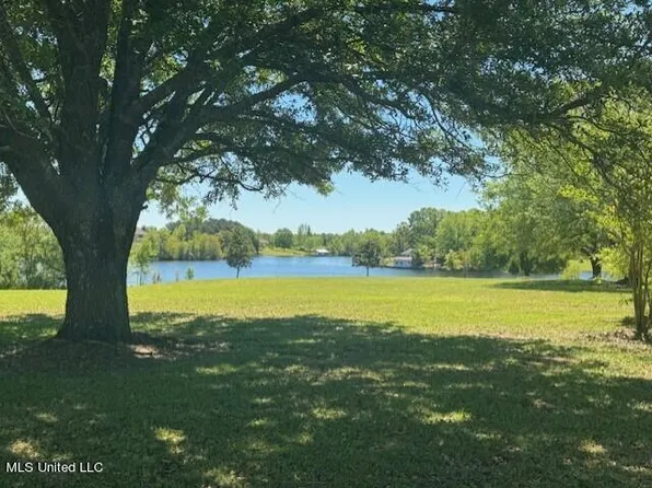 Nhn Shavon Dr Lot 45, Carriere, MS 39426