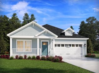 437 Radiant Blue Way, Summerville, SC 29486