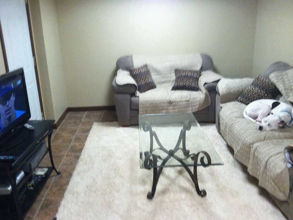 Basement Renovation