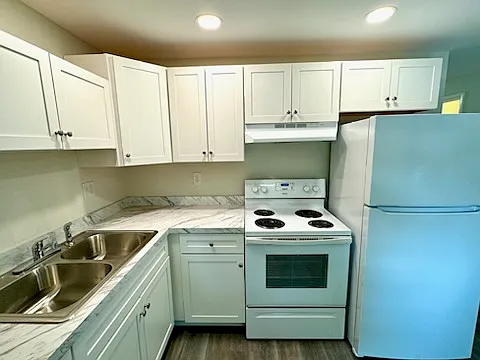 520 Snyder Ave #203 — Photo 6