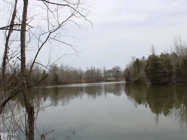 4325 Highway 301 N, Lake Cormorant, MS 38641