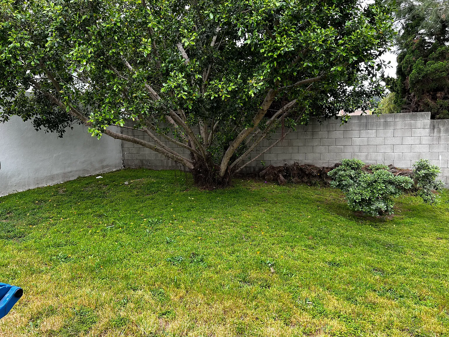 2 bed, 920 sqft, $2,800 — Photo 2