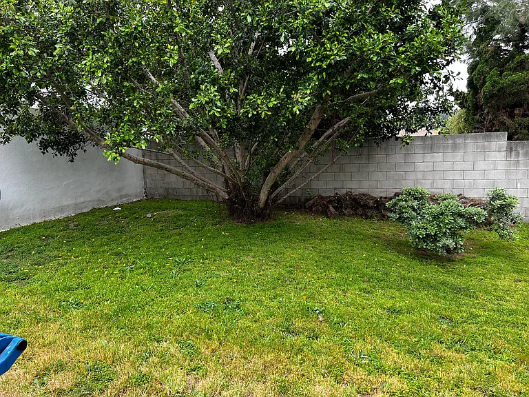 2308 Clark Ln #3 — Photo 2